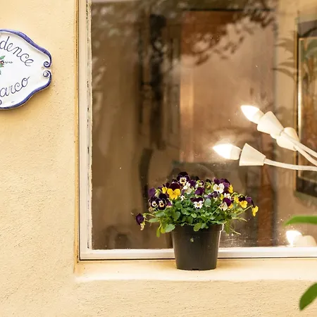 Madalina With Garden *