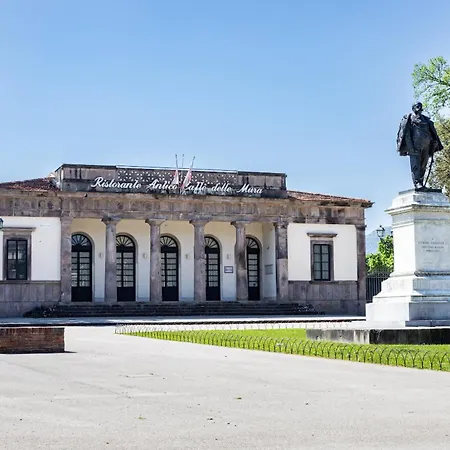 Madalina With Garden