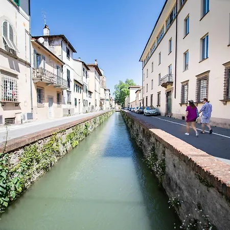 Madalina With Garden *