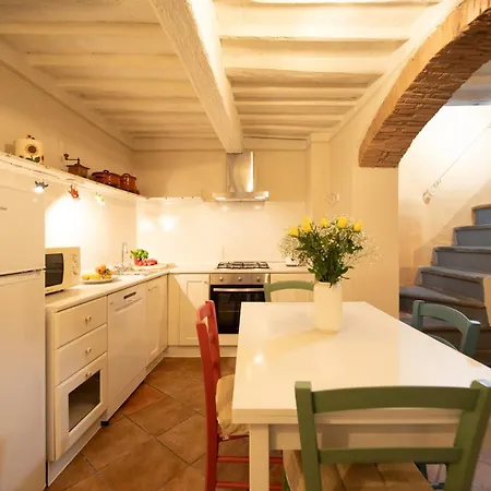 Madalina With Garden * Lucca